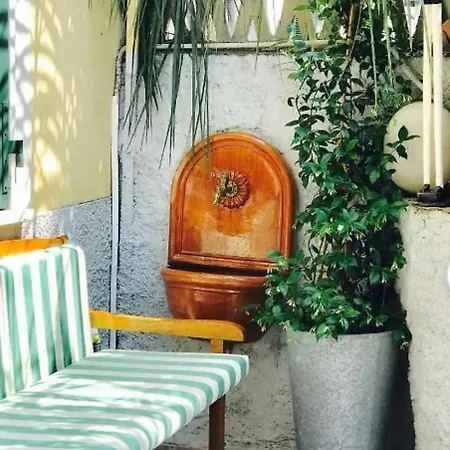 Little Lemon Garden La Spezia