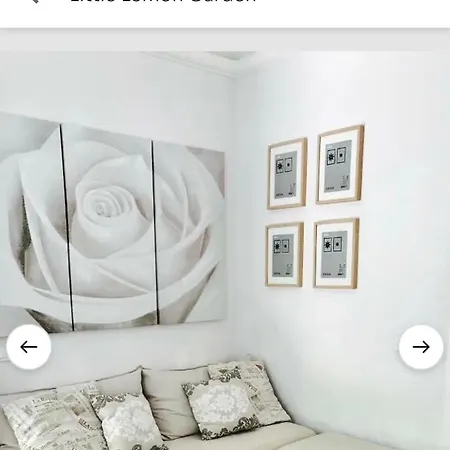 Apartamento Little Lemon Garden *