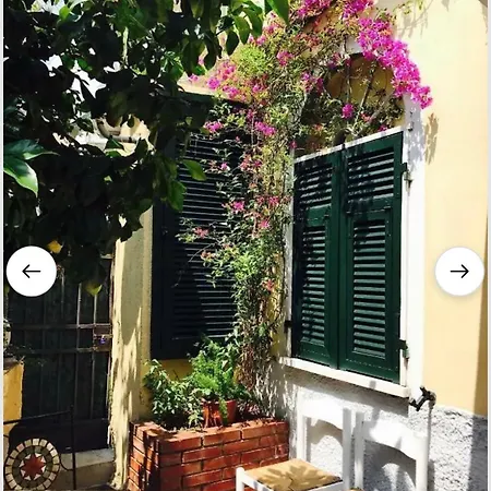 Little Lemon Garden Appartement